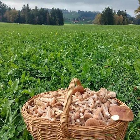 Hengeler's Hof * Altusried