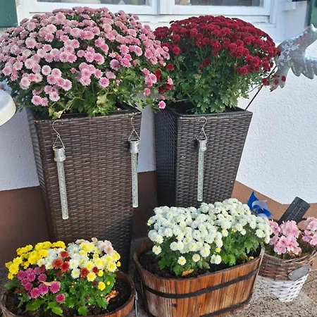 Homestay Hengeler's Hof Altusried