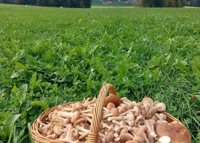 Hengeler's Hof * Altusried