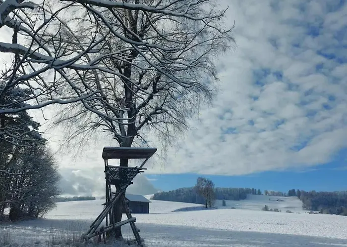 Ubytování v soukromí Hengeler's Hof